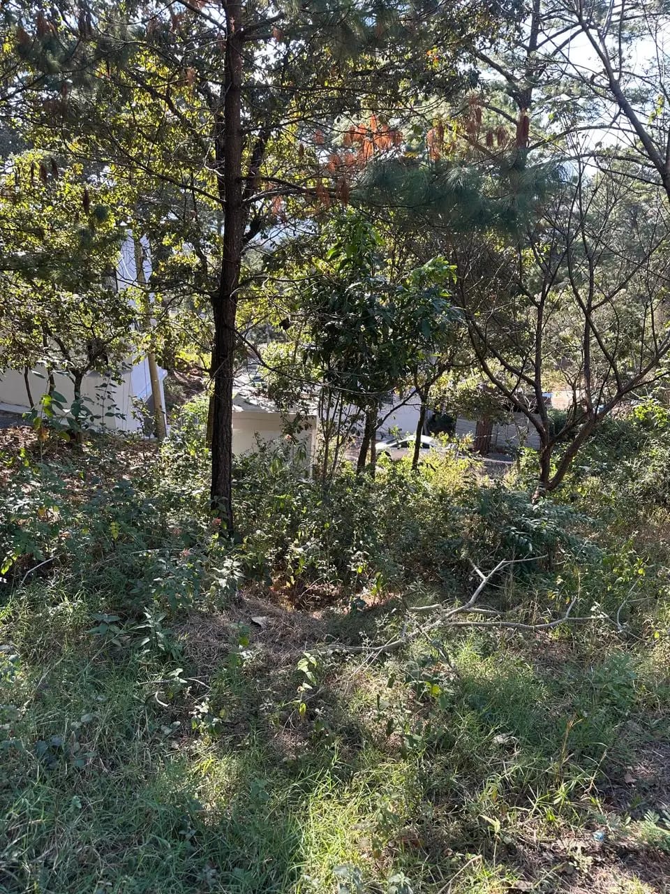 VENDO TERRENO EN RESIDENCIALES BOSQUES DE VISTALAGO SANTA CATARINA PINULA — Terreno en Venta en Santa Catarina Pinula, Guatemala, Ciudad — foto 4 de 6