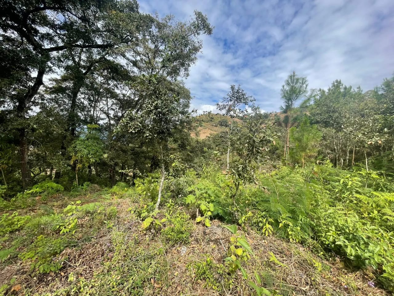 VENDO FINCA EN ALDEA LAS FLORES SUMPANGO SACATEPEQUEZ — Finca en Venta en Sumpango, Sacatepéquez — foto 1 de 14