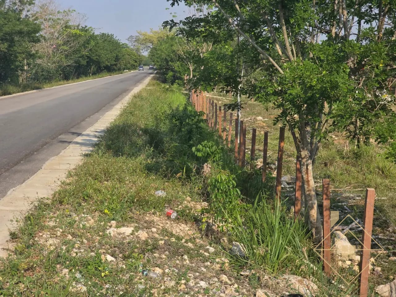 Propiedad en Santa Ana Peten — Finca en Venta en Santa Ana, Petén — foto 3 de 17