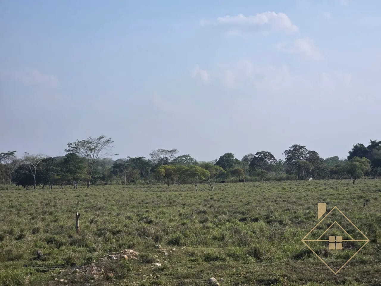 Propiedad en Santa Ana Peten — Finca en Venta en Santa Ana, Petén — foto 5 de 17