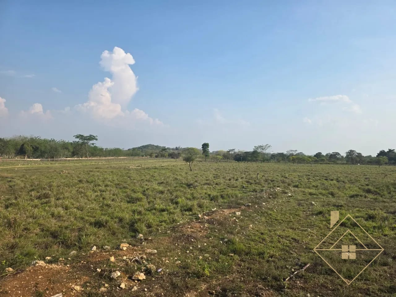 Propiedad en Santa Ana Peten — Finca en Venta en Santa Ana, Petén — foto 7 de 17