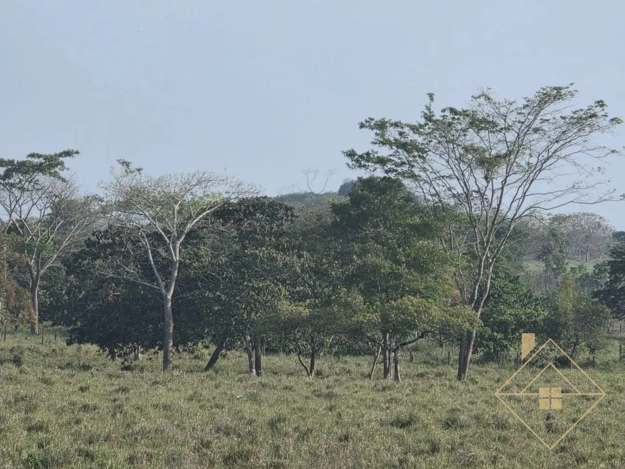 Propiedad en Santa Ana Peten — Finca en Venta en Santa Ana, Petén — foto 10 de 17