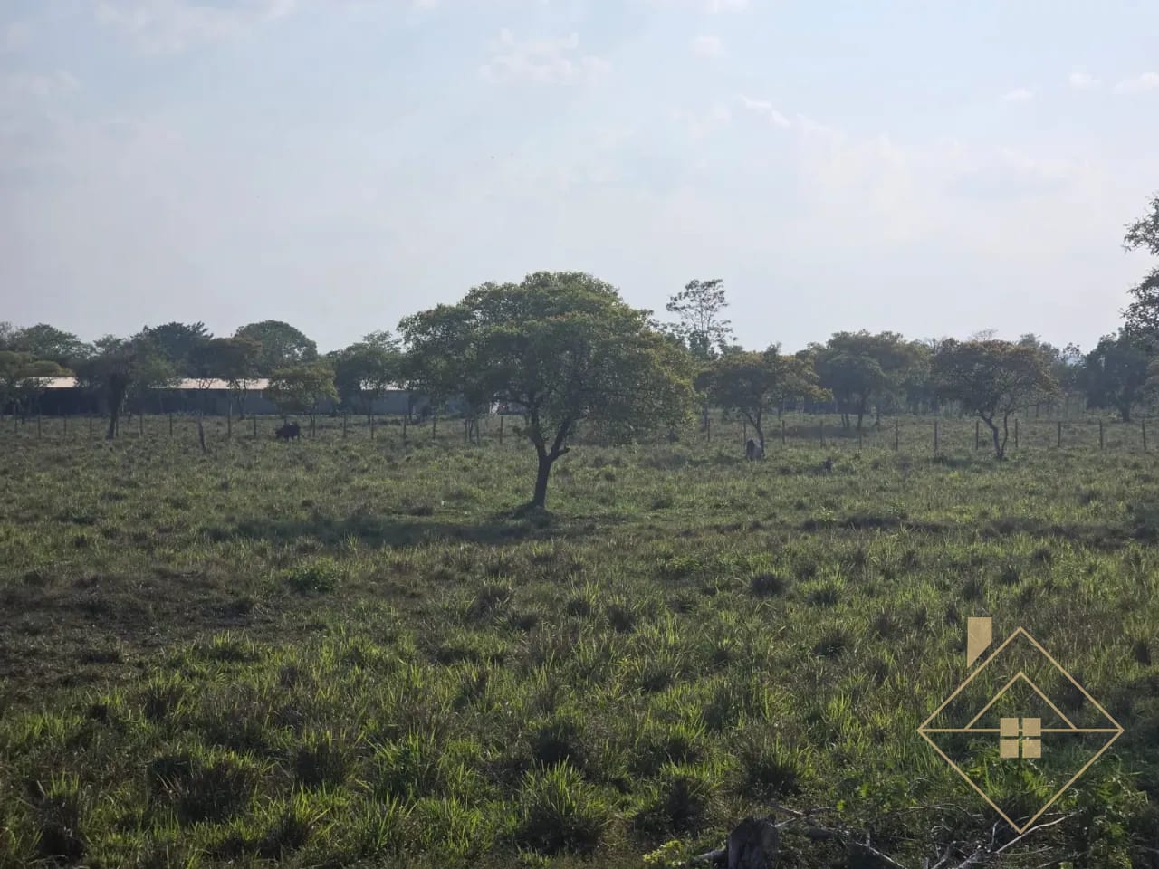 Propiedad en Santa Ana Peten — Finca en Venta en Santa Ana, Petén — foto 15 de 17