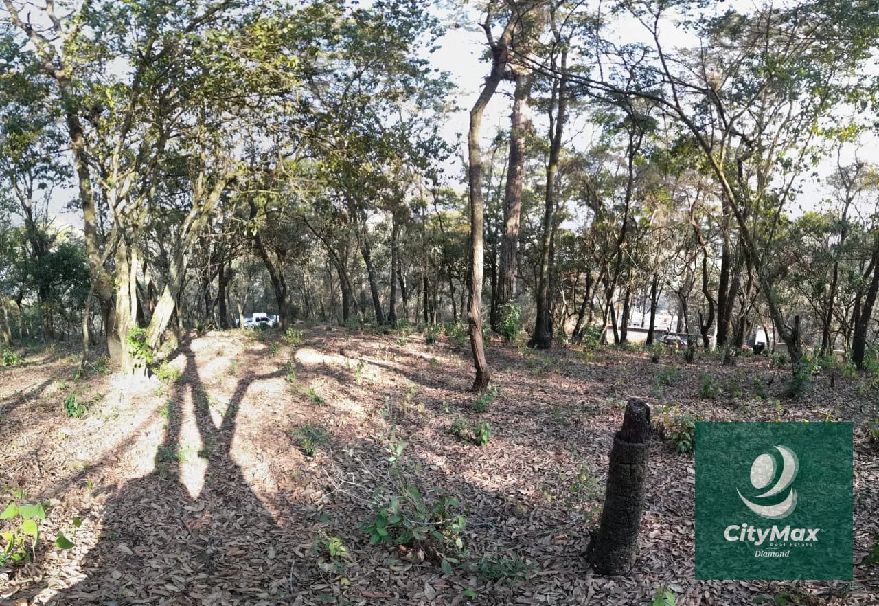 TERRENO EN VENTA EN EL ENCINAL — Terreno en Venta en El Encinal, Zona 7 Mixco, Guatemala, Ciudad — foto 6 de 14