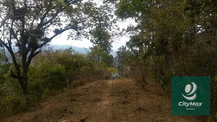 En Venta 70 Manzanas Terreno Boscoso San Pedro Ayampuc — Finca en Venta en San Pedro Ayampuc, Guatemala, Ciudad — foto 3 de 16
