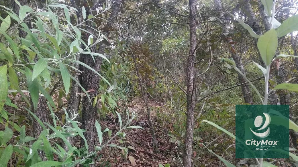 En Venta 70 Manzanas Terreno Boscoso San Pedro Ayampuc — Finca en Venta en San Pedro Ayampuc, Guatemala, Ciudad — foto 7 de 16