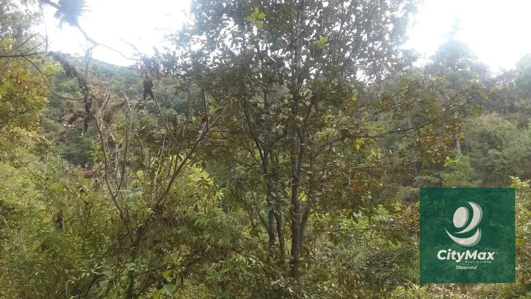 En Venta 70 Manzanas Terreno Boscoso San Pedro Ayampuc — Finca en Venta en San Pedro Ayampuc, Guatemala, Ciudad — foto 13 de 16