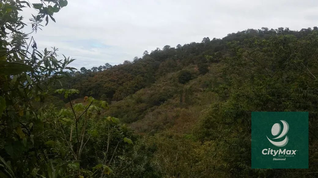 En Venta 70 Manzanas Terreno Boscoso San Pedro Ayampuc — Finca en Venta en San Pedro Ayampuc, Guatemala, Ciudad — foto 2 de 16