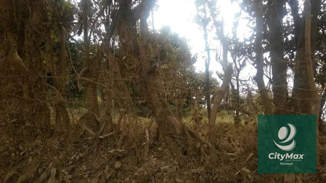 En Venta 70 Manzanas Terreno Boscoso San Pedro Ayampuc — Finca en Venta en San Pedro Ayampuc, Guatemala, Ciudad — foto 15 de 16
