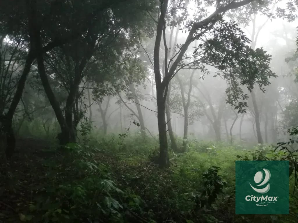 Terreno de 7 manzanas en venta en Km 26 Santa Elena Barillas — Terreno en Venta en Villa Canales, Guatemala, Ciudad — foto 12 de 17