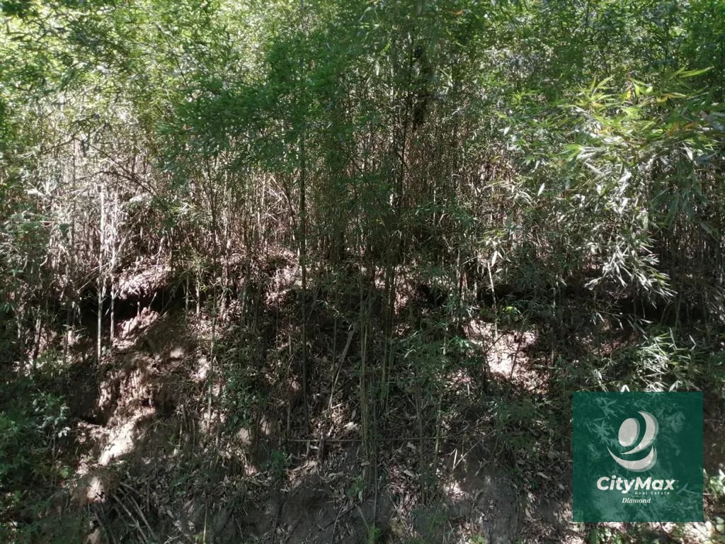Terreno de 7 manzanas en venta en Km 26 Santa Elena Barillas — Terreno en Venta en Villa Canales, Guatemala, Ciudad — foto 17 de 17