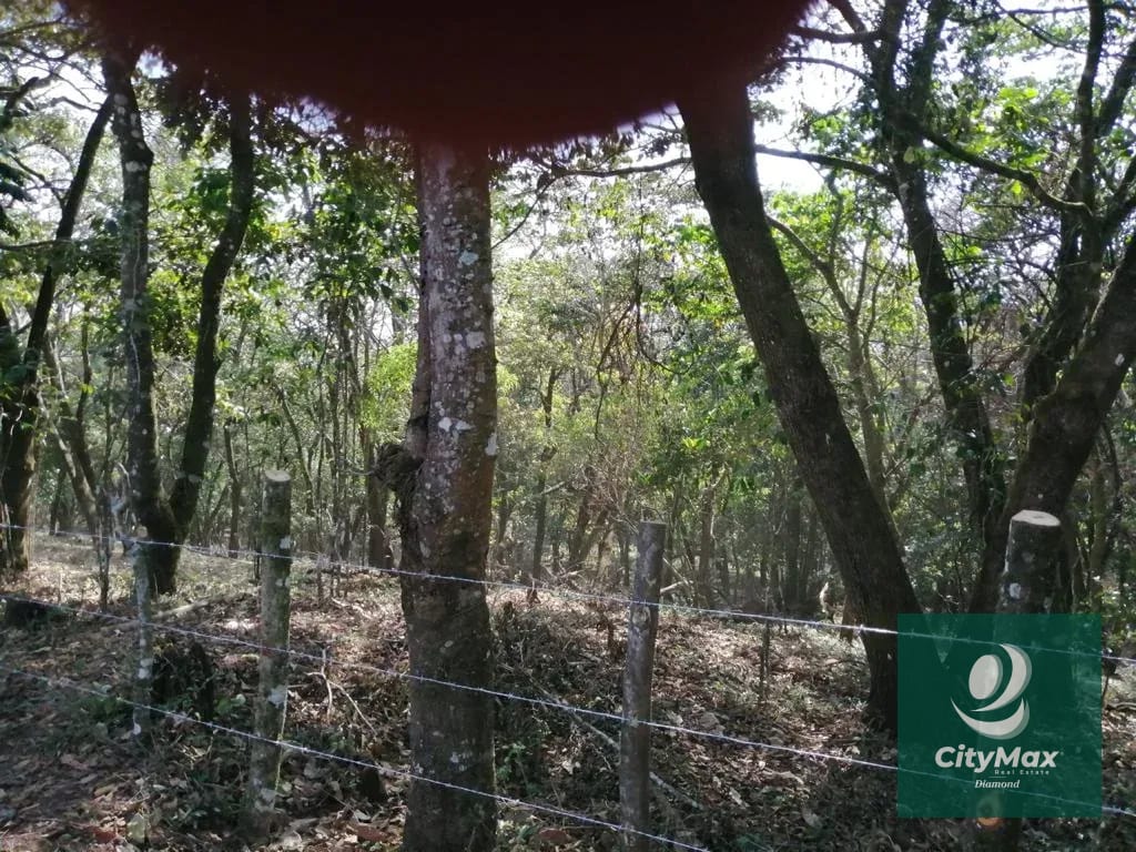 Terreno de 7 manzanas en venta en Km 26 Santa Elena Barillas — Terreno en Venta en Villa Canales, Guatemala, Ciudad — foto 5 de 17