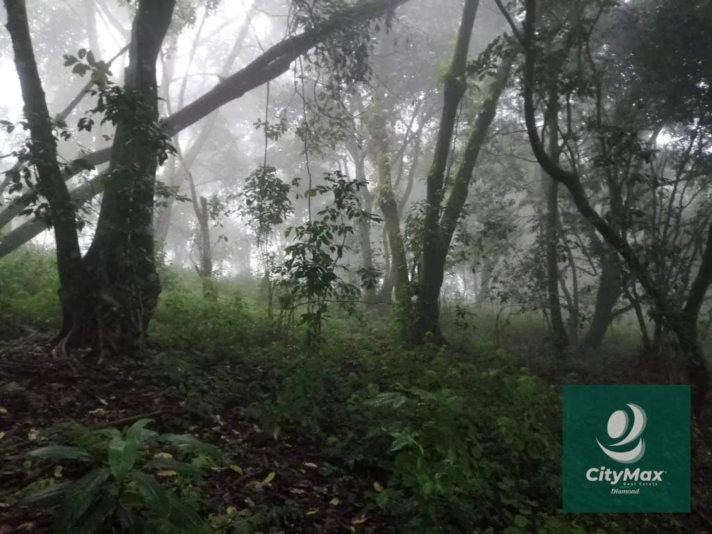 Terreno de 7 manzanas en venta en Km 26 Santa Elena Barillas — Terreno en Venta en Villa Canales, Guatemala, Ciudad — foto 14 de 17