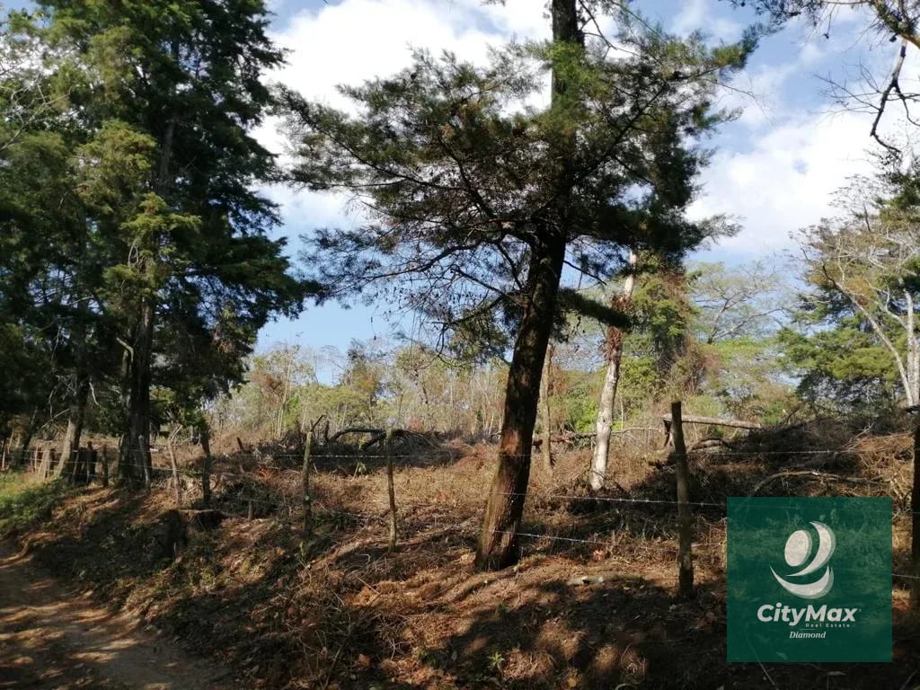 Terreno de 7 manzanas en venta en Km 26 Santa Elena Barillas — Terreno en Venta en Villa Canales, Guatemala, Ciudad — foto 9 de 17