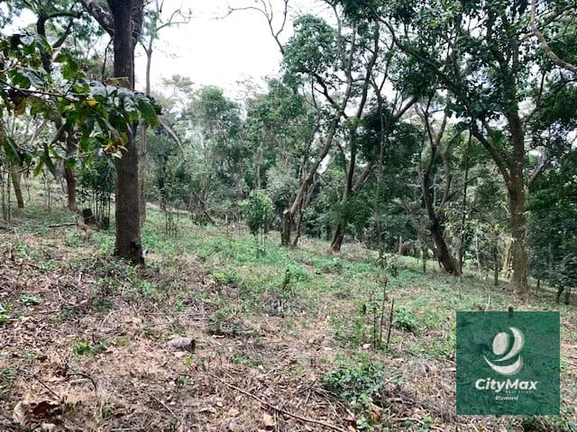 Terreno de 7 manzanas en venta en Km 26 Santa Elena Barillas — Terreno en Venta en Villa Canales, Guatemala, Ciudad — foto 8 de 17