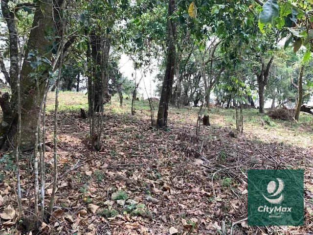 Terreno de 7 manzanas en venta en Km 26 Santa Elena Barillas — Terreno en Venta en Villa Canales, Guatemala, Ciudad — foto 11 de 17