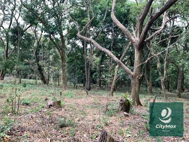 Terreno de 7 manzanas en venta en Km 26 Santa Elena Barillas — Terreno en Venta en Villa Canales, Guatemala, Ciudad — foto 1 de 17