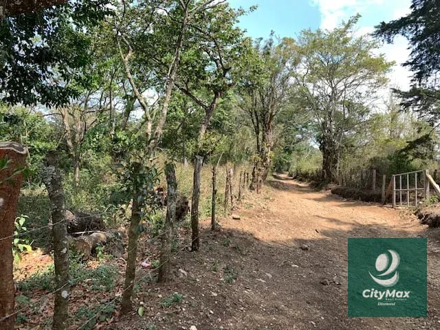 Terreno de 7 manzanas en venta en Km 26 Santa Elena Barillas — Terreno en Venta en Villa Canales, Guatemala, Ciudad — foto 4 de 17