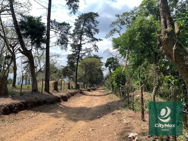 Terreno de 7 manzanas en venta en Km 26 Santa Elena Barillas — Terreno en Venta en Villa Canales, Guatemala, Ciudad — foto 2 de 17