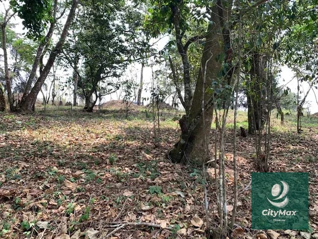 Terreno de 7 manzanas en venta en Km 26 Santa Elena Barillas — Terreno en Venta en Villa Canales, Guatemala, Ciudad — foto 13 de 17