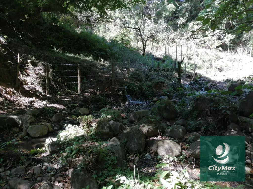 Terreno de 7 manzanas en venta en Km 26 Santa Elena Barillas — Terreno en Venta en Villa Canales, Guatemala, Ciudad — foto 15 de 17