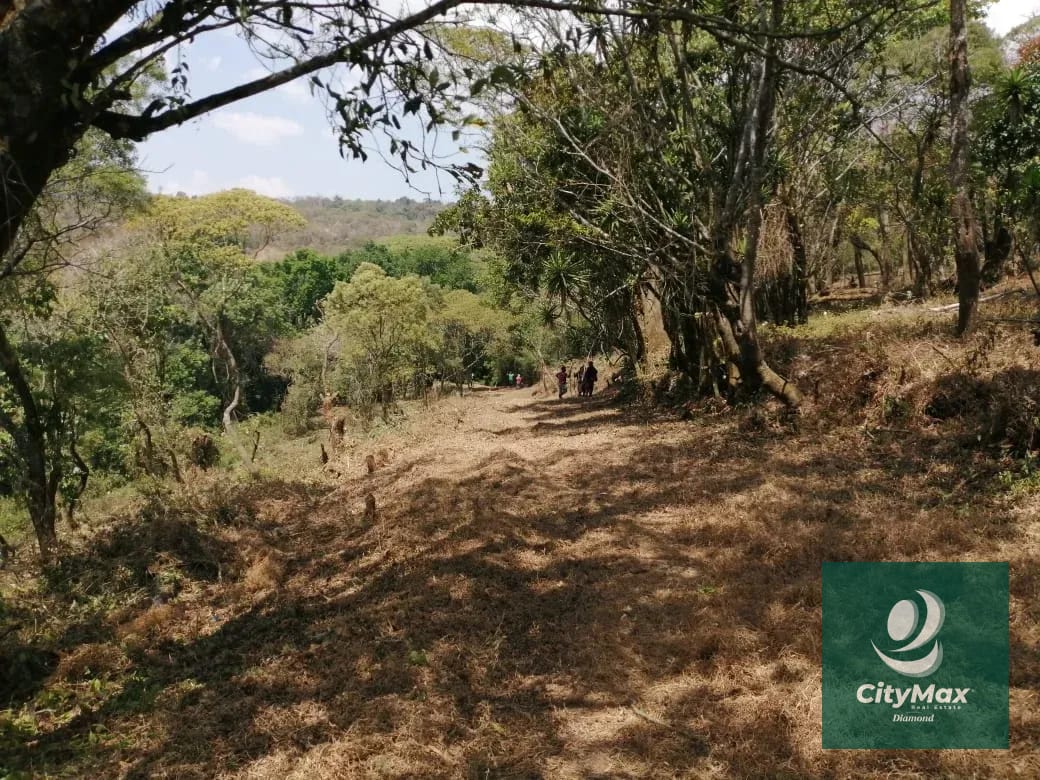 Terreno de 7 manzanas en venta en Km 26 Santa Elena Barillas — Terreno en Venta en Villa Canales, Guatemala, Ciudad — foto 3 de 17