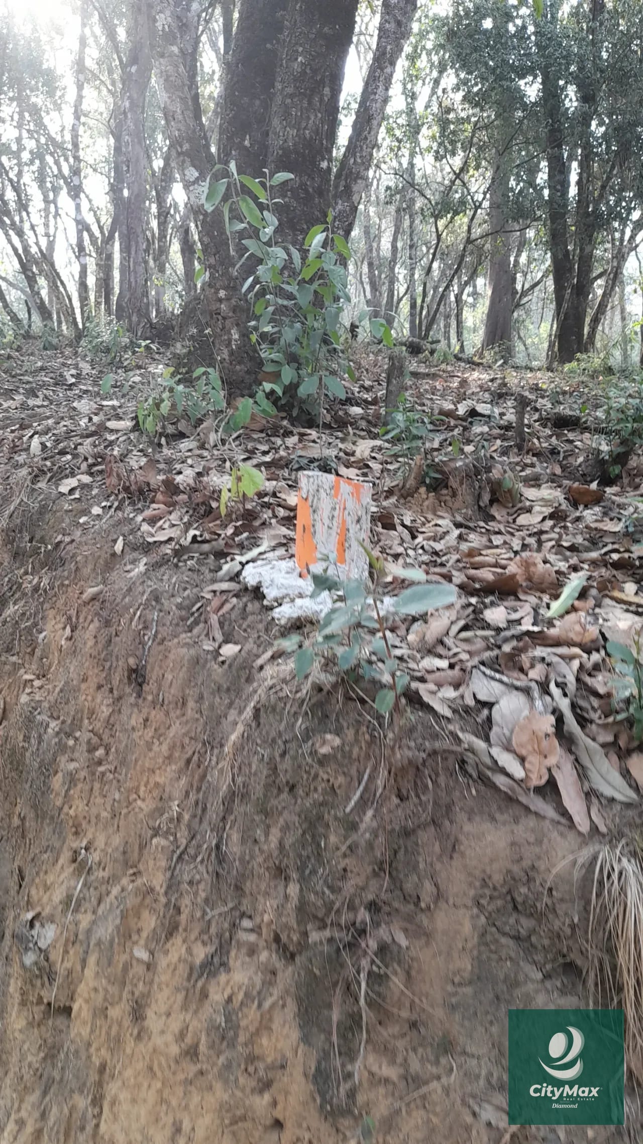 Terreno de esquina en Venta en El Encinal Zona 7 Mixco — Terreno en Venta en Zona 7 Mixco, Guatemala, Ciudad — foto 3 de 15