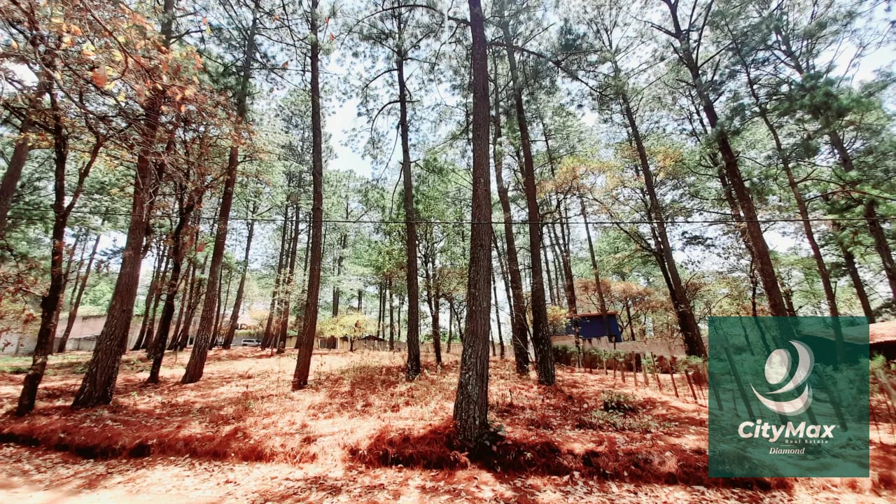 Terreno en Venta en Santo Domingo Xenacoj Sacatepequez — Terreno en Venta en Santo Domingo Xenacoj, Sacatepéquez — foto 6 de 7