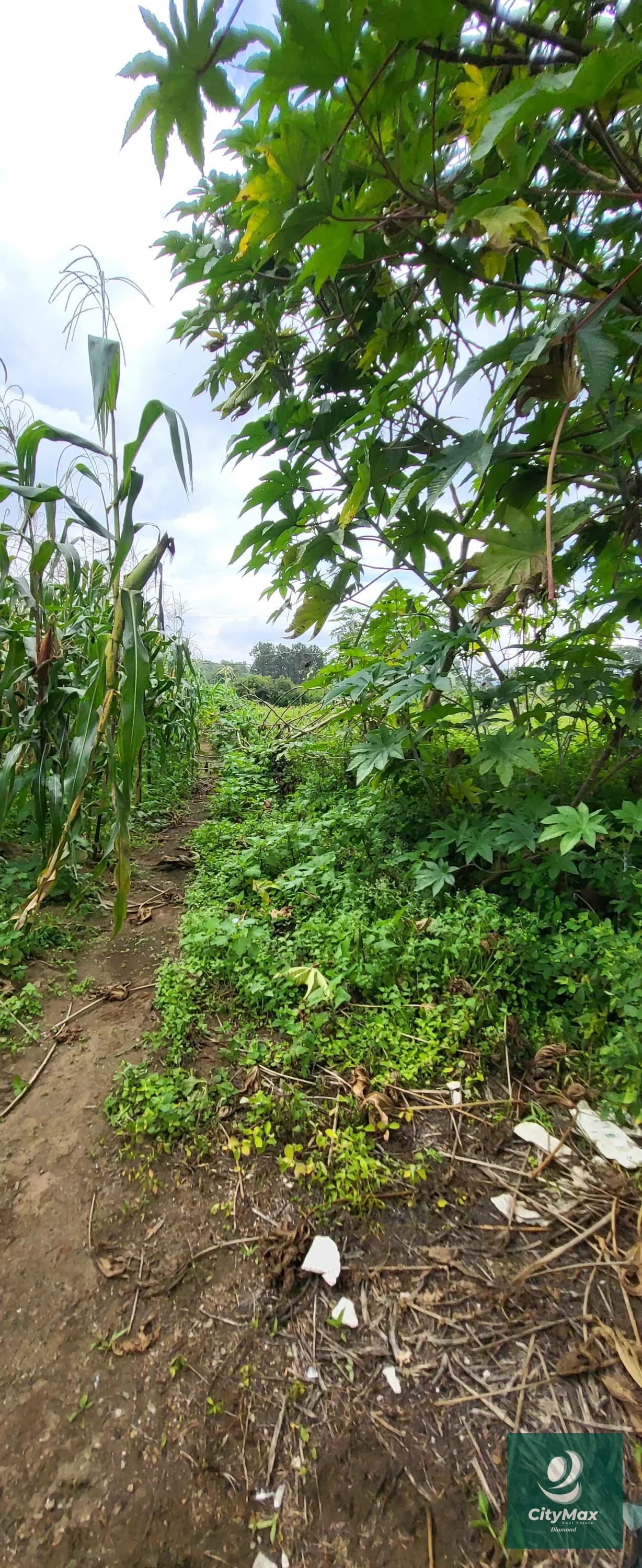 Terreno Comercial en Renta en Libramiento Chimaltenango — Terreno en Alquiler en Chimaltenango, Chimaltenango — foto 10 de 16