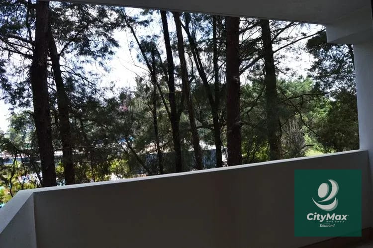 Apartamento en Renta en Zona 15 — Apartamento en Alquiler en Zona 15, Guatemala, Ciudad — foto 10 de 13
