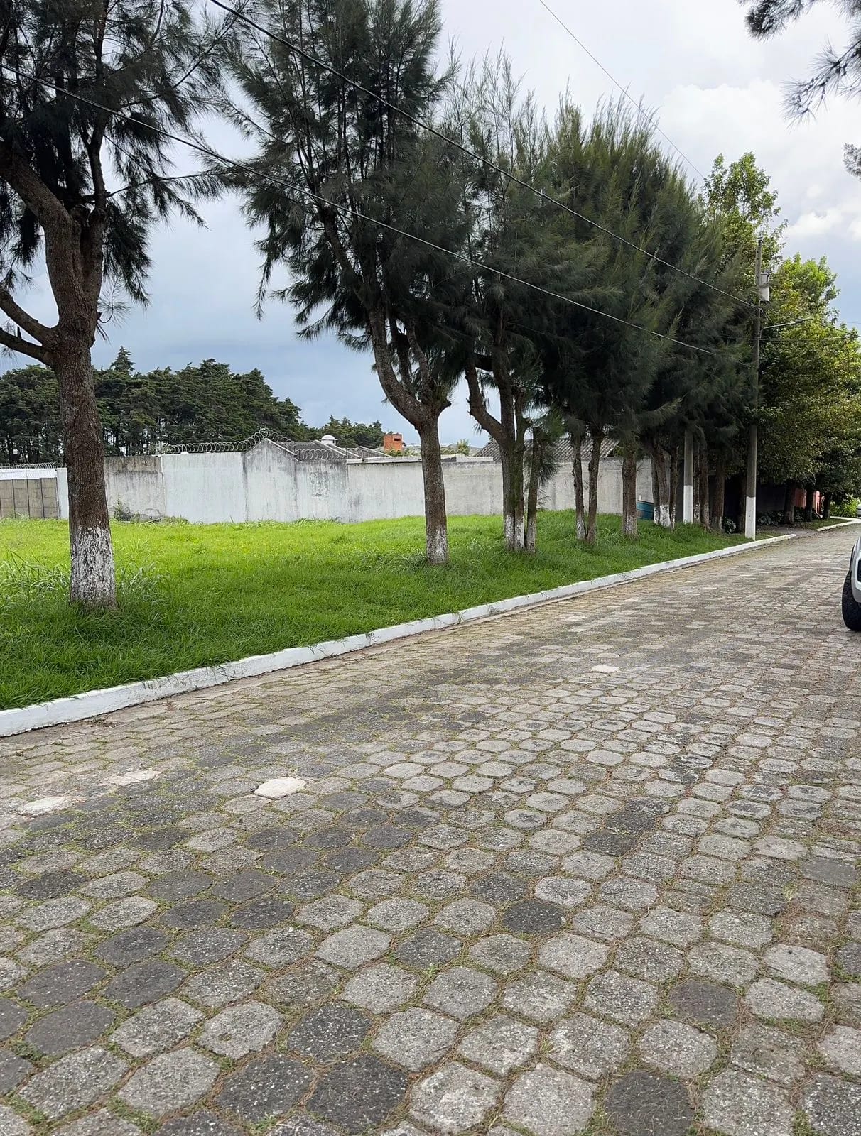 LINDISIMO TERRENO EN CONDOMINIO MONTECARLO, KM 18,7 FRAIJANES — Terreno en Venta en Montecarlo, Carretera a El Salvador, Guatemala, Ciudad — foto 1 de 10