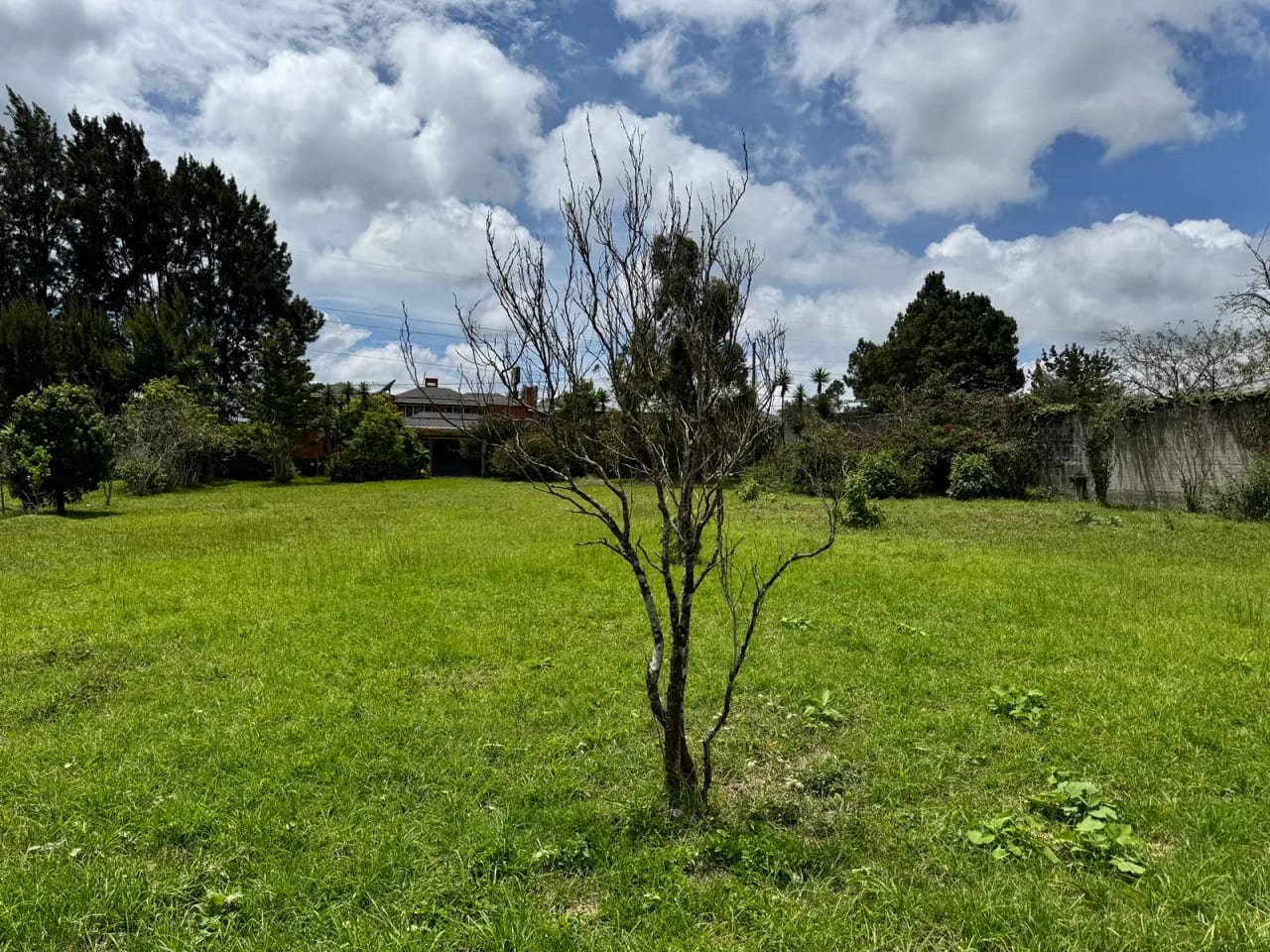 LINDISIMO TERRENO EN CONDOMINIO MONTECARLO, KM 18,7 FRAIJANES — Terreno en Venta en Montecarlo, Carretera a El Salvador, Guatemala, Ciudad — foto 5 de 10