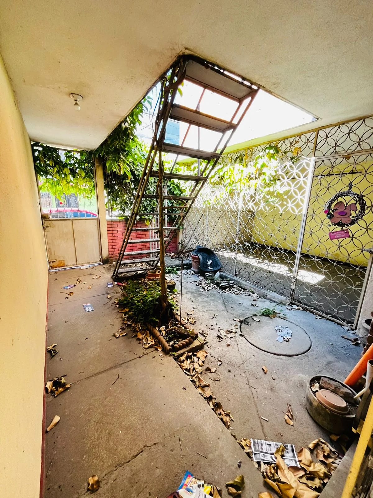 Amplia casa con 9 ambientes y jardín en zona 6, cercana a MEGASEIS — Casa en Venta en Zona 6, Guatemala, Ciudad — foto 6 de 11