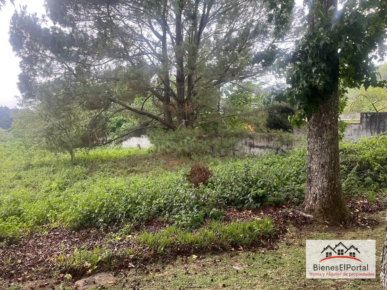Terreno en Premier Campestre — Terreno en Venta en Carretera a El Salvador, Guatemala, Ciudad — foto 3 de 8