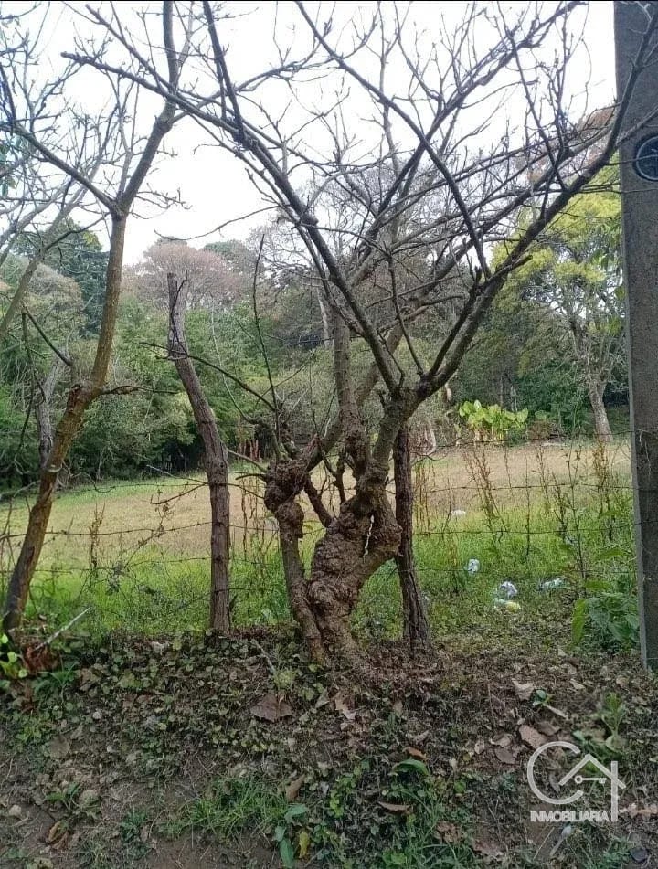 TERRENO en Venta - El Manzanillo Mixco — Terreno en Venta en Zona 1 Mixco, Guatemala, Ciudad — foto 2 de 3