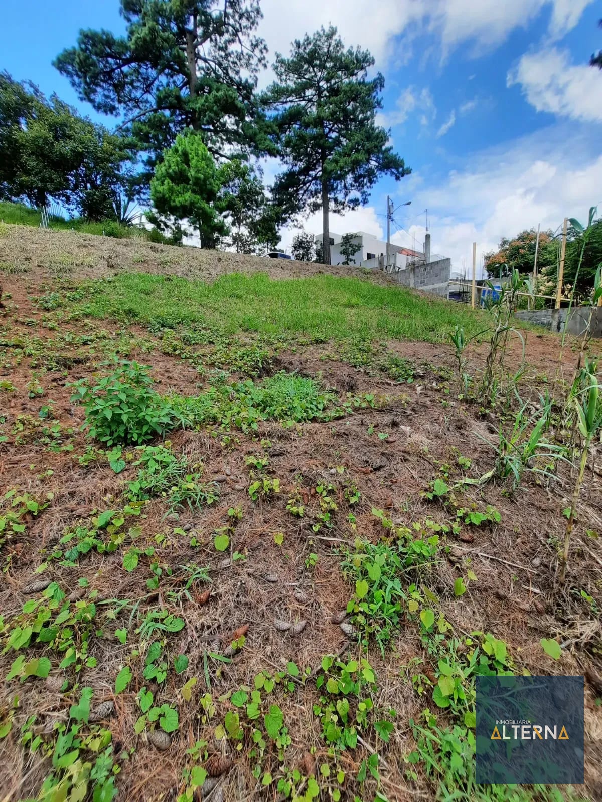 Terreno en Venta en Condominio Peña Dorada Zona 16 — Terreno en Venta en Zona 16, Guatemala, Ciudad — foto 2 de 9