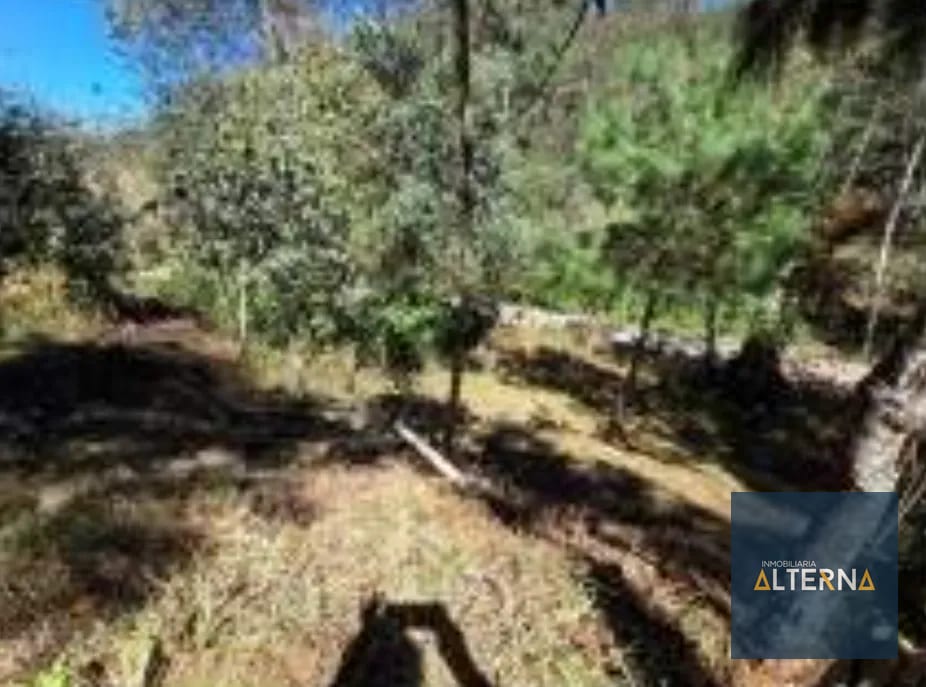 OPORTUNIDAD EN AGUA ESCONDIDA Terreno en renta para Camping o Glamping — Apartamento en Alquiler en Tecpán, Chimaltenango — foto 6 de 12