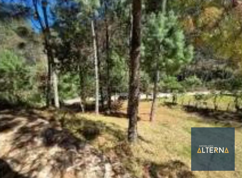 OPORTUNIDAD EN AGUA ESCONDIDA Terreno en renta para Camping o Glamping — Apartamento en Alquiler en Tecpán, Chimaltenango — foto 8 de 12