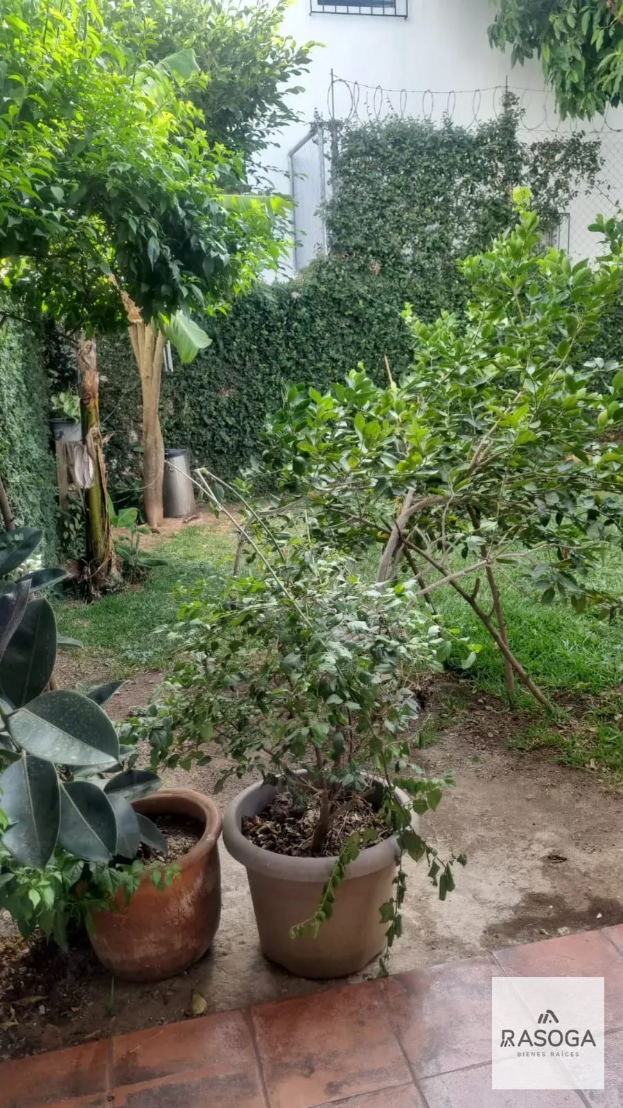 Alquilo Amplia Casa en Zona 15 — Casa en Alquiler en Zona 15, Guatemala, Ciudad — foto 3 de 12