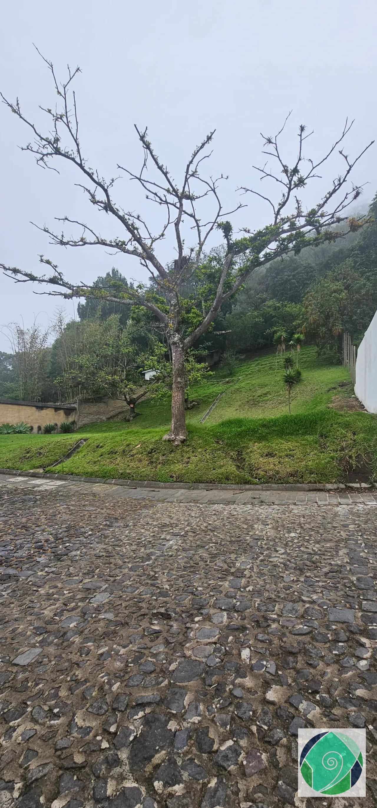 Venta Terreno en el Casco del Cerro, Antigua — Terreno en Venta en Casco del Cerro, Antigua, Sacatepéquez — foto 1 de 4