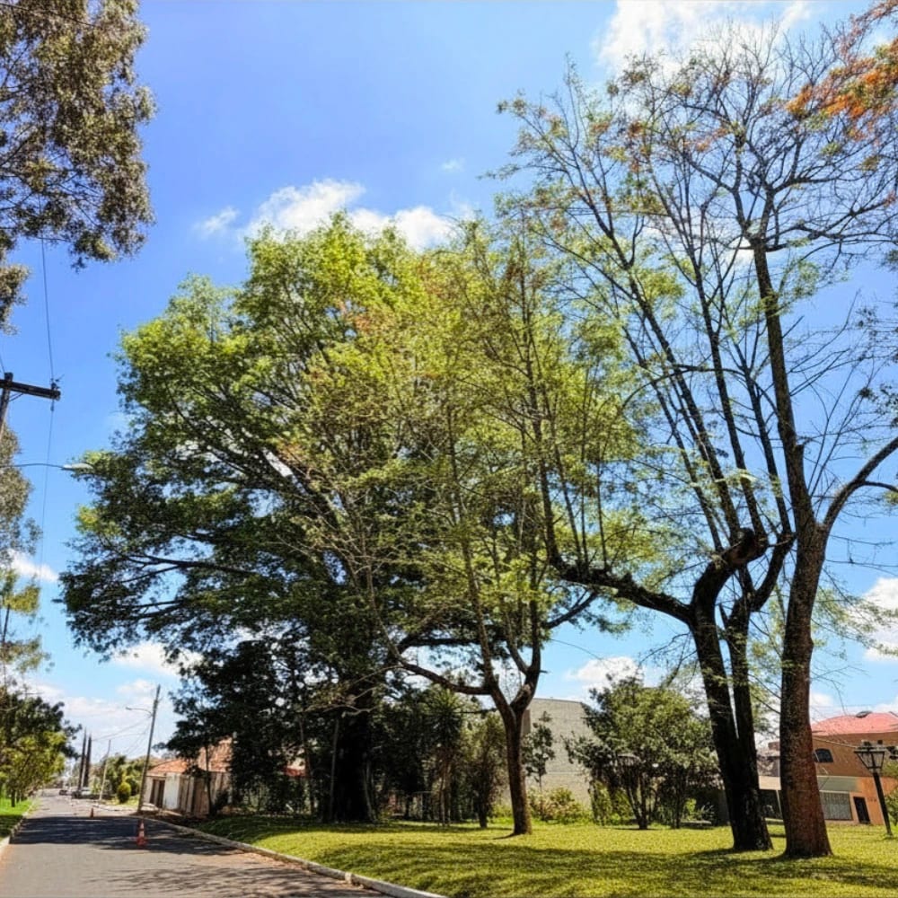 Terreno en venta zona 16 Jardines de San Isidro de 536 varas² — Terreno en Venta en Jardines de San Isidro, Zona 16, Guatemala, Ciudad — foto 2 de 5