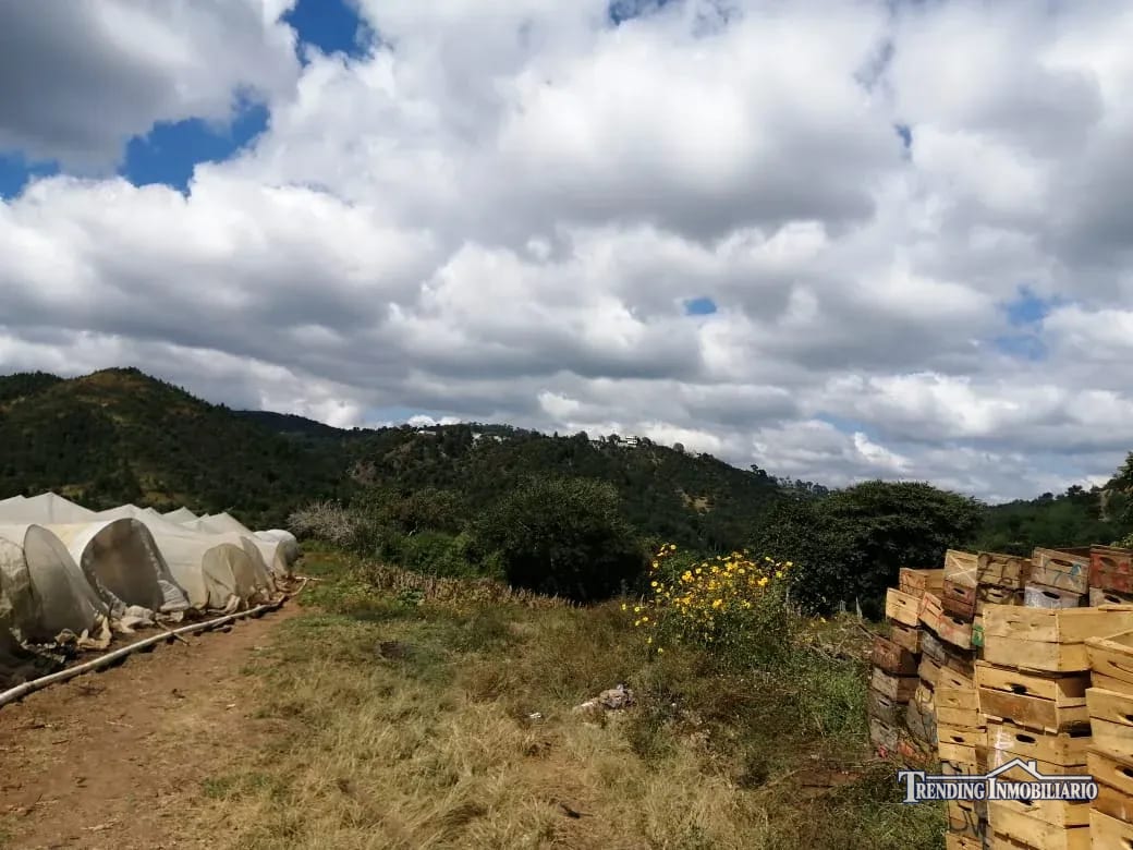 Terreno en venta zona 18 cercano a Los Olivos 96 manzanas, Las Tapias — Terreno en Venta en Zona 18, Guatemala, Ciudad — foto 1 de 8