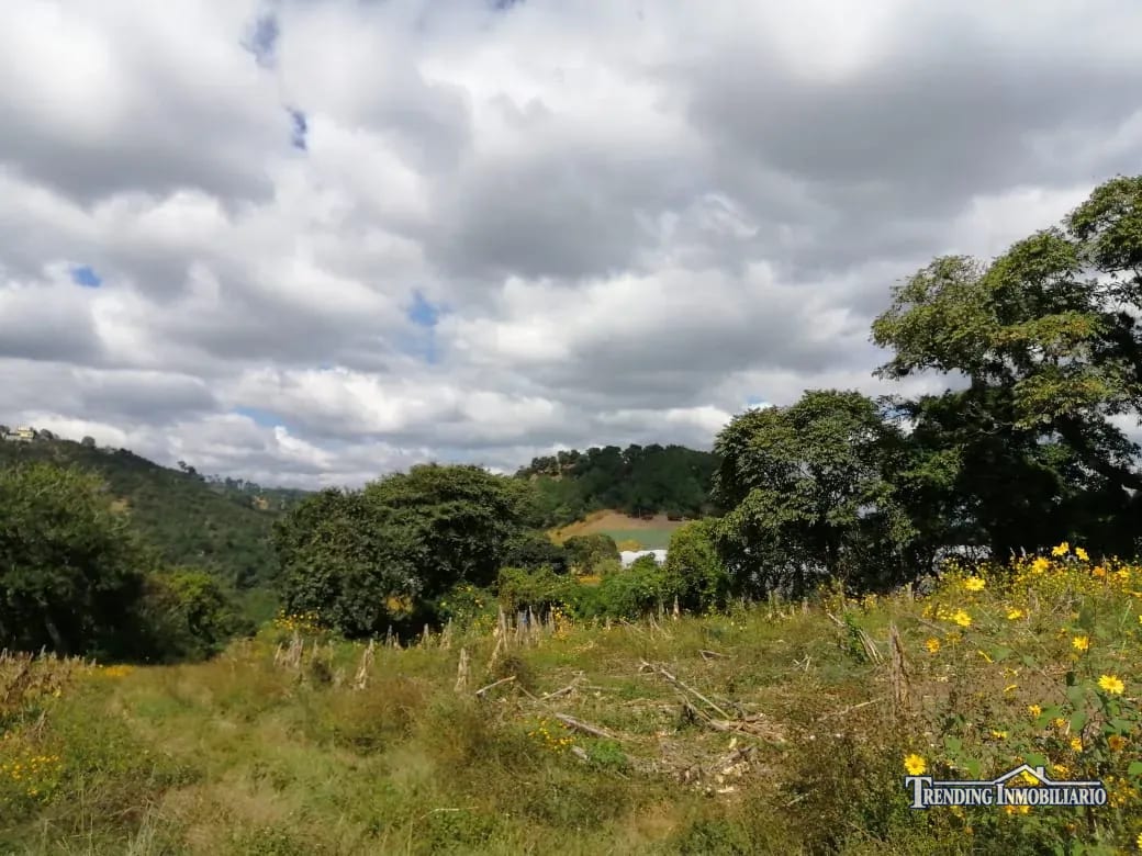 Terreno en venta zona 18 cercano a Los Olivos 96 manzanas, Las Tapias — Terreno en Venta en Zona 18, Guatemala, Ciudad — foto 4 de 8