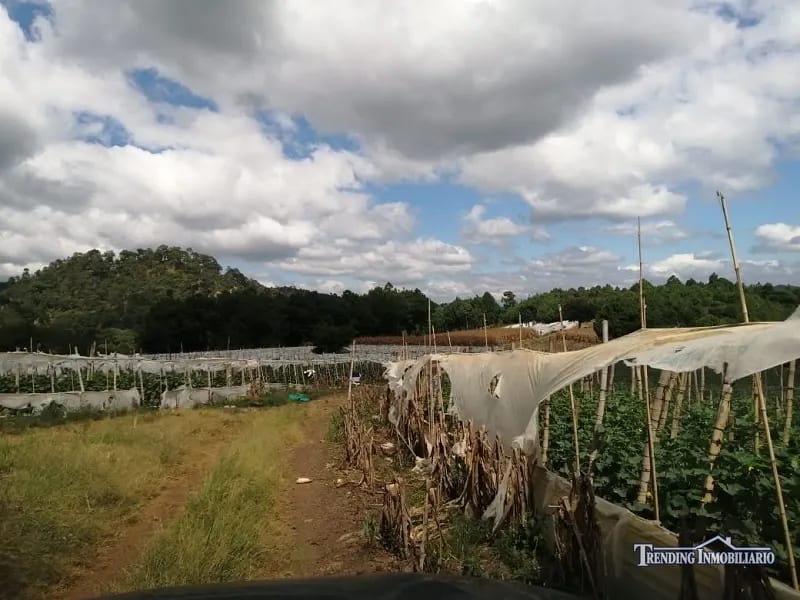 Terreno en venta zona 18 cercano a Los Olivos 96 manzanas, Las Tapias — Terreno en Venta en Zona 18, Guatemala, Ciudad — foto 6 de 8