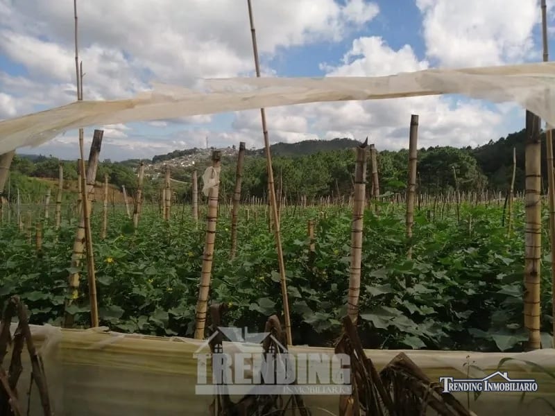 Terreno en venta zona 18 cercano a Los Olivos 96 manzanas, Las Tapias — Terreno en Venta en Zona 18, Guatemala, Ciudad — foto 7 de 8