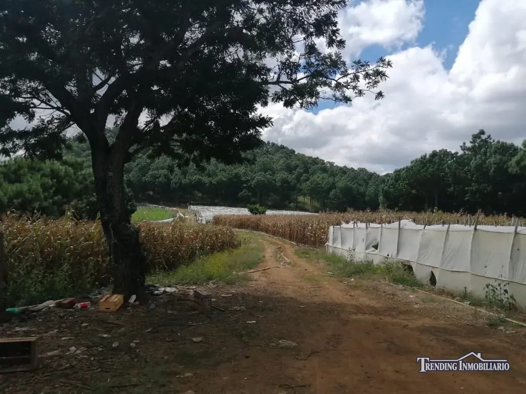 Terreno en venta zona 18 cercano a Los Olivos 96 manzanas, Las Tapias — Terreno en Venta en Zona 18, Guatemala, Ciudad — foto 5 de 8