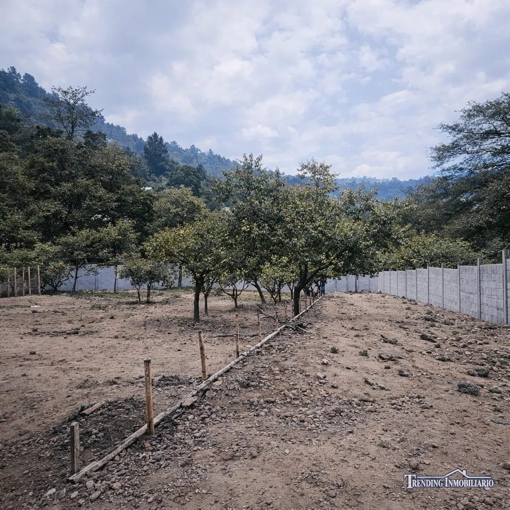 Terreno en venta Santo Domingo Xenacoj Sacatepéquez 4,181 v2 planas — Terreno en Venta en Santo Domingo Xenacoj, Sacatepéquez — foto 4 de 6