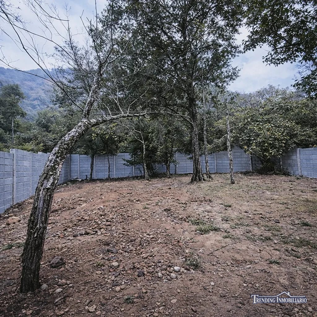 Terreno en venta Santo Domingo Xenacoj Sacatepéquez 4,181 v2 planas — Terreno en Venta en Santo Domingo Xenacoj, Sacatepéquez — foto 6 de 6