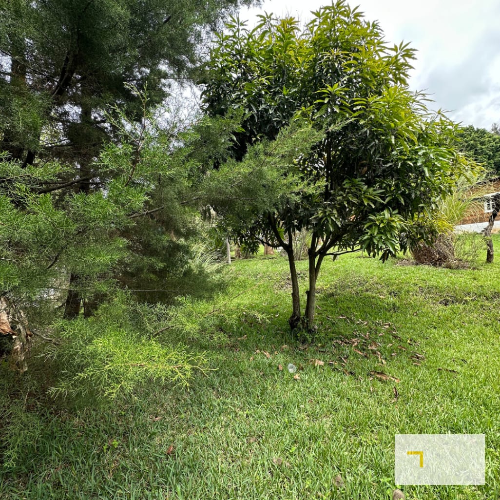 Terreno en Venta - 6717 v2 km18.5 Carr a San Juan Sacatepéquez, El Naranjito Mixco — Terreno en Venta en Zona 6 Mixco, Guatemala, Ciudad — foto 9 de 9