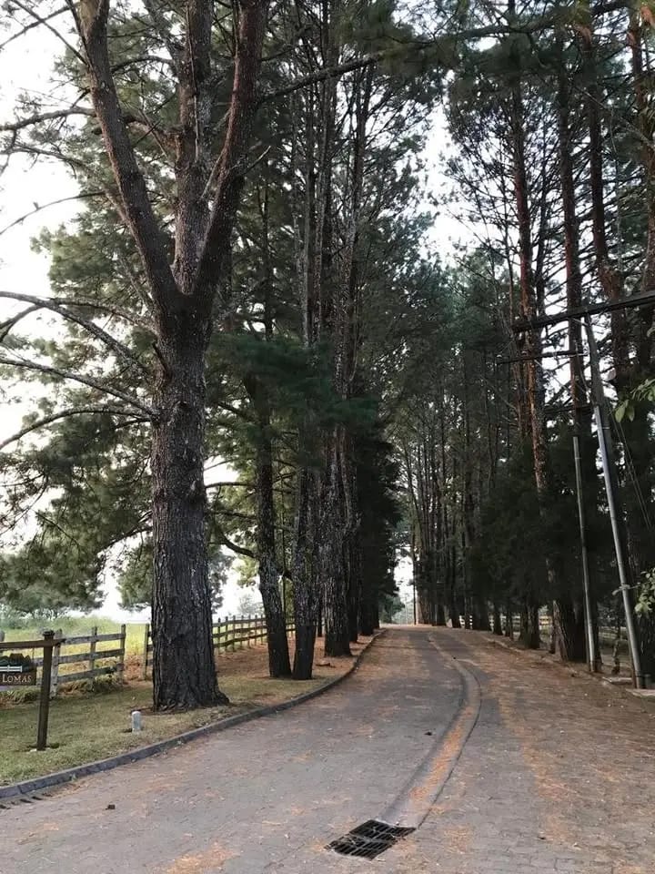 Terreno Santa Elena del Lago en Venta en Santa Elena Barillas — Terreno en Venta en Carretera a El Salvador, Guatemala, Ciudad — foto 3 de 10